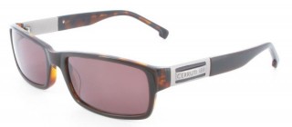   Cerruti 1881 (8002 C)