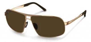   Porsche Design (P8542 )