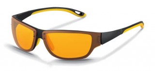   Rodenstock (3166 D)