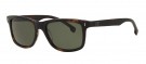   Cerruti 1881 (8013 01)